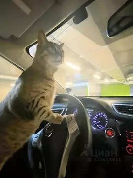 Гараж в Москва ул. Саларьевская, 14к2 (14 м)