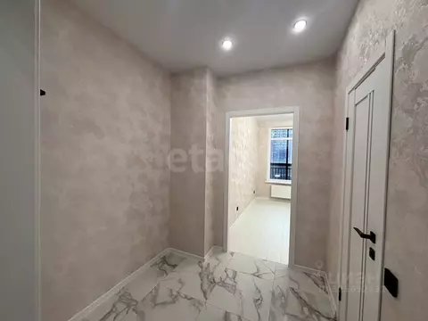 Студия Воронежская область, Воронеж Московский просп., 42/1 (23.0 м)