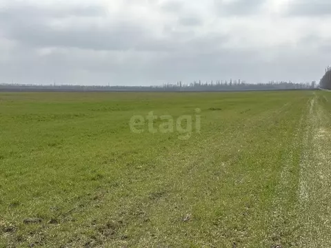 Участок в Крым, Симферопольский район, с. Первомайское  (124.32 сот.)