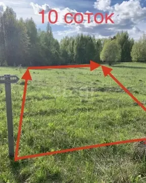 Участок в Татарстан, Зеленодольский район, Большекургузинское с/пос, ...