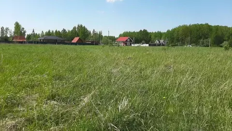 Участок в Новгородская область, Новгородский район, Ракомское с/пос, ...