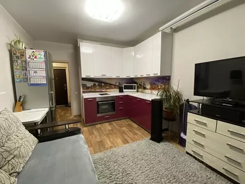 1-к кв. Новосибирская область, Новосибирск Красный просп., 310 (39.0 ...