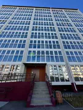 Студия Амурская область, Благовещенский район, с. Чигири ул. ...