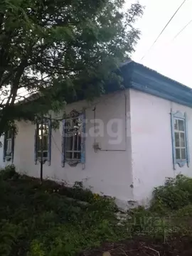 Дом в Алтайский край, Бийский район, с. Сростки Луговая ул., 10 (54 м)