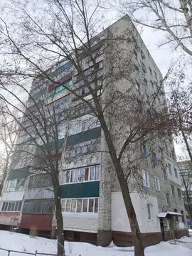 1-к кв. Курская область, Курск ул. Серегина, 11 (29.9 м)