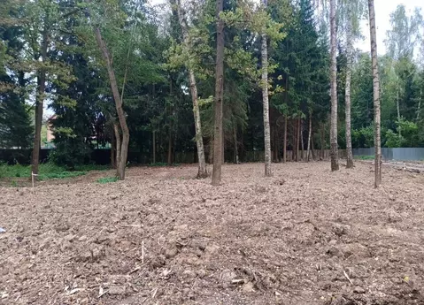 Участок в Москва № 177 кв-л,  (33.0 сот.)