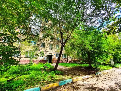 1-к кв. Красноярский край, Красноярск ул. Ладо Кецховели, 99 (31.4 м)