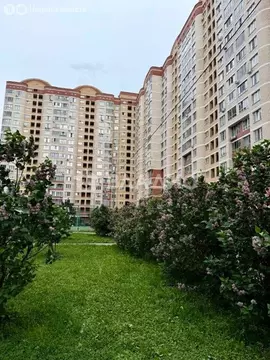 3-комнатная квартира: Королёв, Пионерская улица, 30к10 (73.8 м)