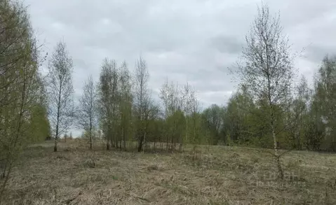 Участок в Московская область, Дмитровский муниципальный округ, д. ...