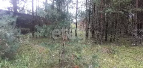 Участок в Брянская область, Брянский район, Супоневское с/пос, д. ...