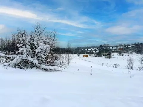 Участок в Московская область, Дмитровский муниципальный округ, Форест ...