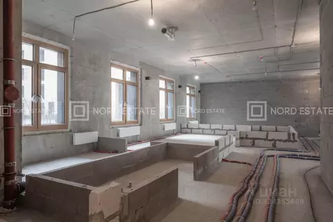 3-к кв. Санкт-Петербург Петровский просп., 9к2 (173.2 м)