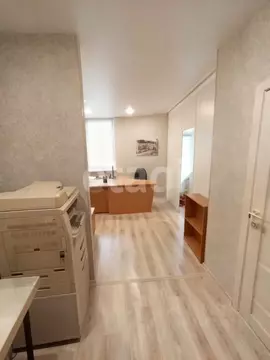 Студия Калининградская область, Калининград ул. Александра Невского, ...