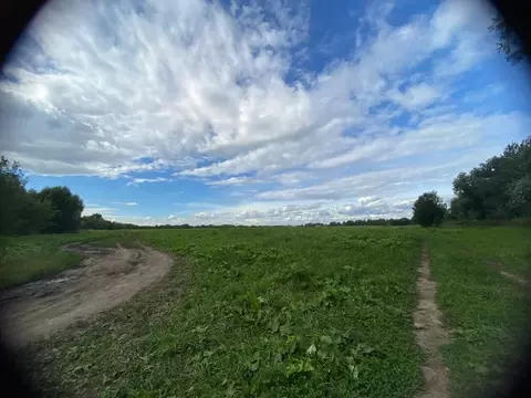 Участок в Московская область, Раменский муниципальный округ, д. Рыбаки ...