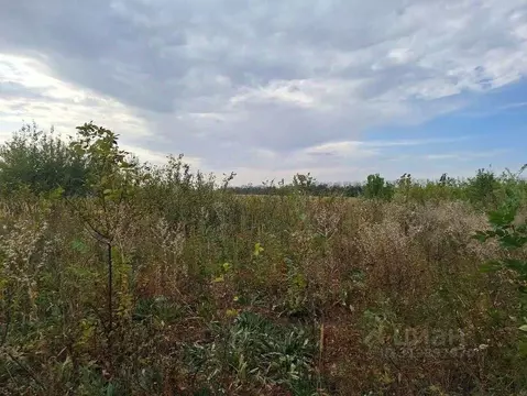 Участок в Воронежская область, Рамонский район, с. Айдарово ул. Победы ...