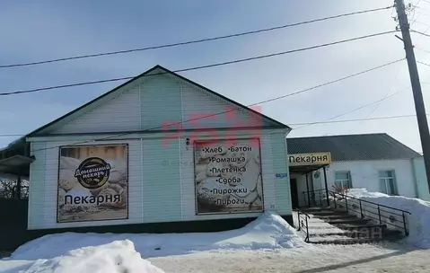 Торговая площадь в Пензенская область, Шемышейка пгт ул. Ленина (220 ...