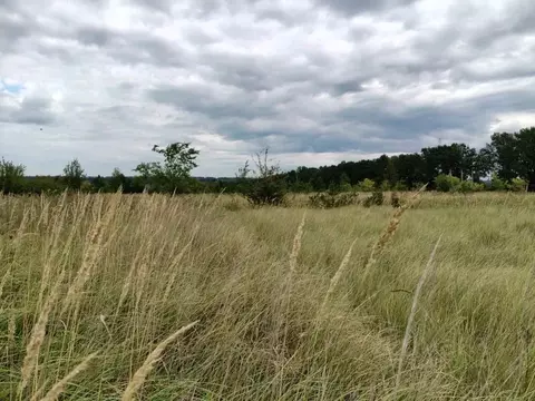 Участок в Воронежская область, Рамонский район, Березовское с/пос, ...
