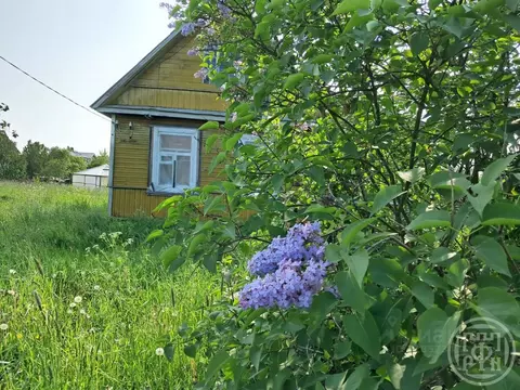 Дом в Ленинградская область, Ломоносовский район, Пениковское с/пос, ...