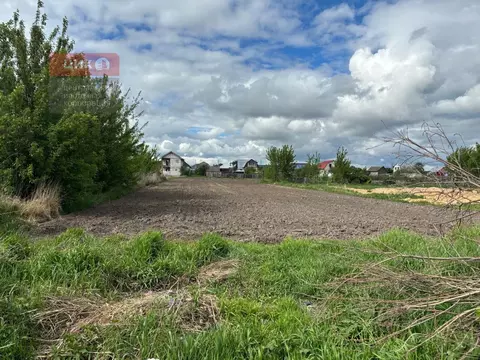 Участок в Рязанская область, Рязанский район, Дубровическое с/пос, с. ...