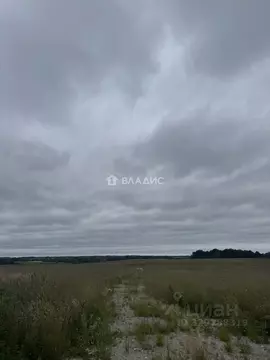 Участок в Калининградская область, Зеленоградский муниципальный округ, ...
