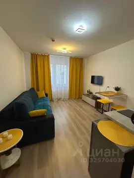 Студия Санкт-Петербург ул. Пахомовская, 18к1 (22.0 м)