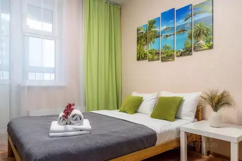 1-к кв. Нижегородская область, Нижний Новгород Бурнаковская ул., 97 ...