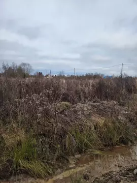 Участок, 11 сот., поселения (ижс)