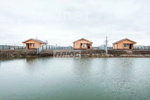 Дом в Тюменская область, Тюмень Садовое товарищество Липовый остров,  ...