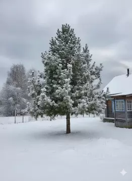 Дом в Ярославская область, Рыбинский муниципальный округ, с. Арефино ...