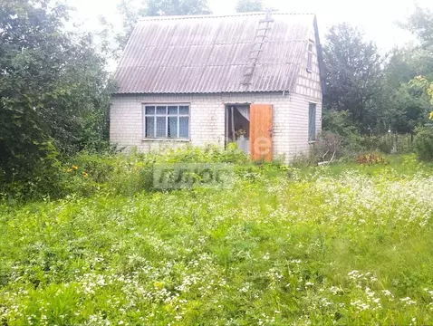 Дом в Курская область, Курск Дубрава садовое товарищество,  (38 м)