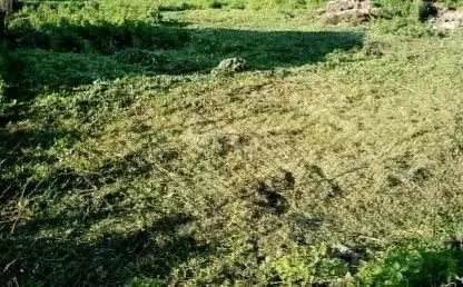 Участок в Кемеровская область, Кемерово Сухой Искитим СНТ,  (8.0 сот.)