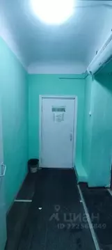 Помещение свободного назначения в Пермский край, Усолье Усольский ...