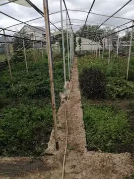 Участок в Саратовская область, Саратов Светлячок СНТ,  (8.0 сот.)