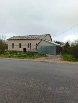 Дом в Новгородская область, Новгородский район, Борковское с/пос, д. ...