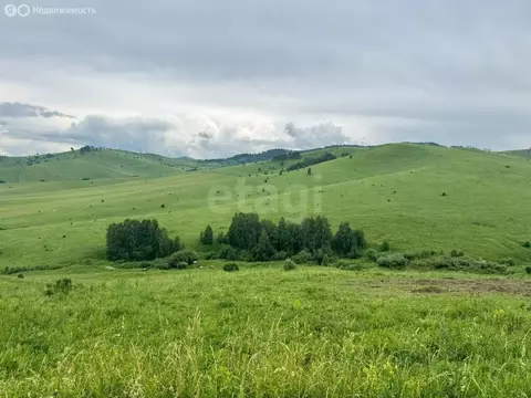 Участок в Алтайский район, ДНТ Жемчужина Алтая (10.85 м)