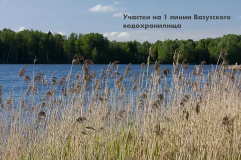 Участок в Тверская область, Зубцовский муниципальный округ, Рыбацкая ...