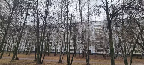 2-к кв. Москва Ореховый бул., 39К1 (45.0 м)