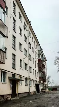 3-к кв. Вологодская область, Вологда Элеваторная ул., 23 (54.3 м)