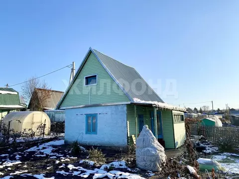 Дом в Новосибирская область, Тогучинский район, Горный рп, Новинка СНП ...