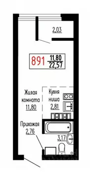 Студия Свердловская область, Екатеринбург ул. Лыжников, 3 (22.5 м)