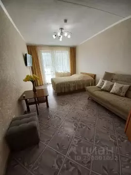 1-к кв. Свердловская область, Екатеринбург ул. Серафимы Дерябиной, 53А ...