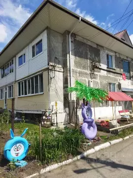 2-к кв. Алтайский край, Зональный район, с. Зональное Спортивная ул., ...