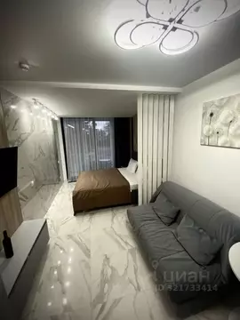 1-к кв. Краснодарский край, Сочи Светлана мкр, ул. Депутатская, 10Г ...