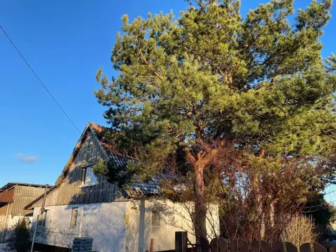 Дом в Калининградская область, Правдинский муниципальный округ, пос. ...