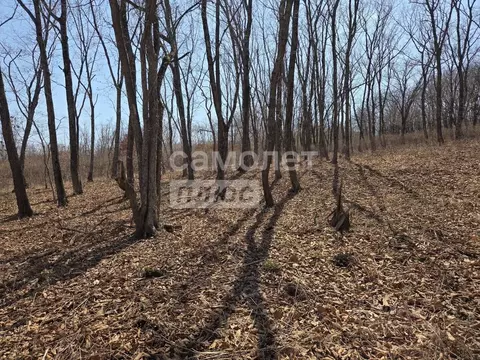 Участок в Приморский край, Партизанский муниципальный округ, пос. ...