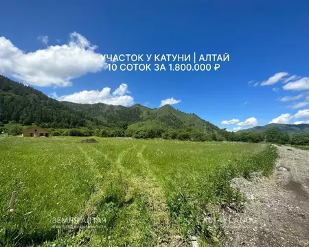 Участок в Алтай, Чемальский район, Радуга Жизни СНТ  (10.0 сот.)
