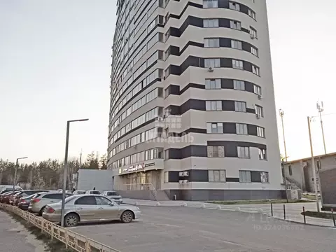 Студия Воронежская область, Воронеж ул. 9 Января, 233/40 (25.0 м)