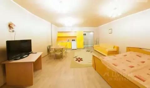 Студия Тюменская область, Тюмень ул. Максима Горького, 3к1 (45.0 м)