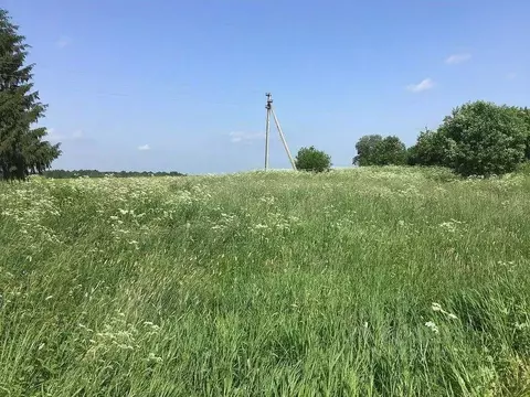 Участок в Вологодская область, Грязовецкий муниципальный округ, д. ...