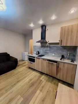 Студия Санкт-Петербург Черниговская ул., 17 (24.6 м)